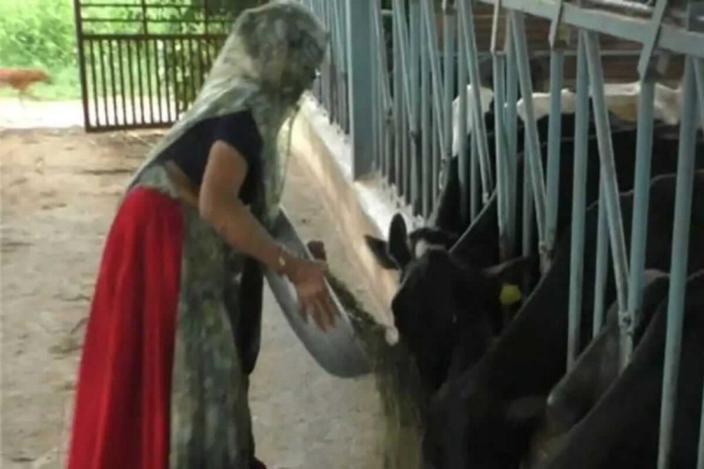 Navalben earns crore by selling milk 