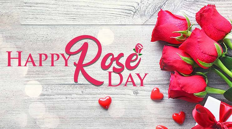 Rose Day