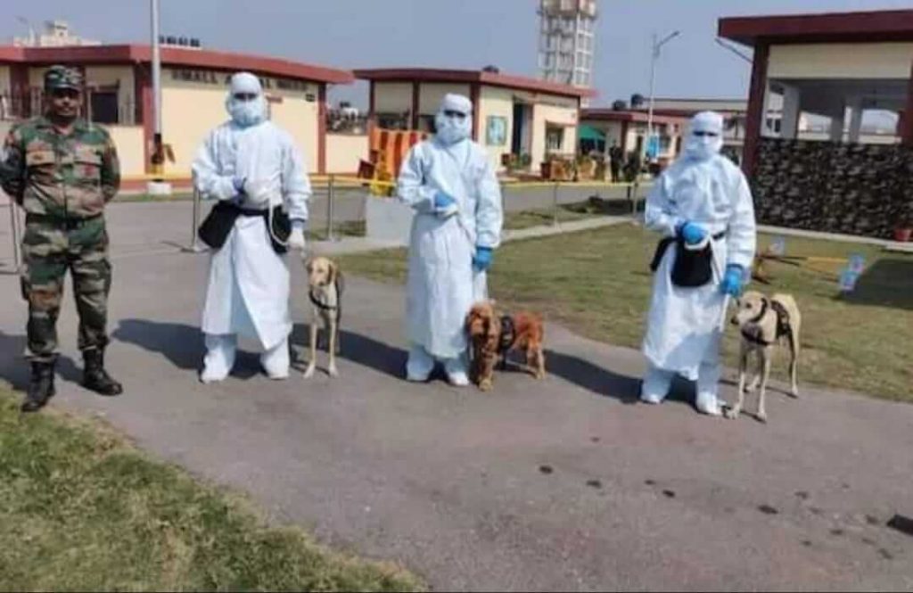 Indian Army trained it’s two dogs to detect covid-19