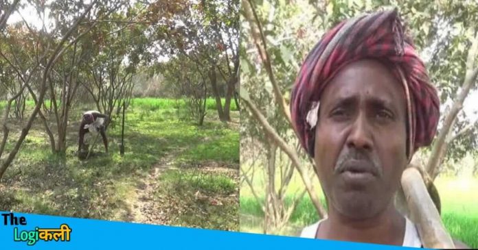 Satyendra Manjhi planted 10000 trees in 15 years