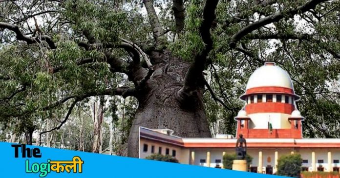 SC Panel fixed economic value of a tree