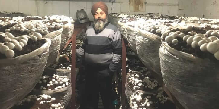 Punjab mashroom king earning crores