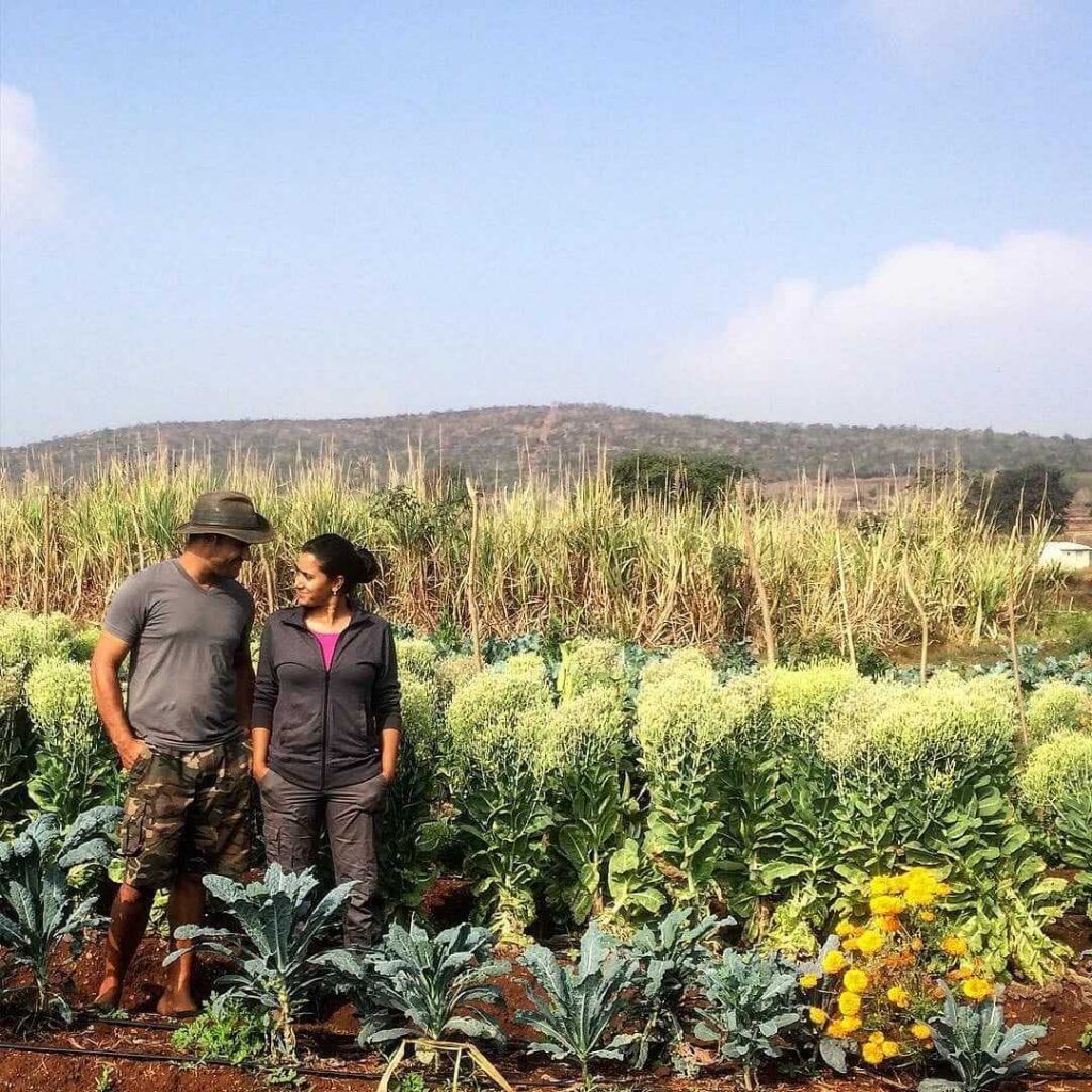 Oganic farming by couple