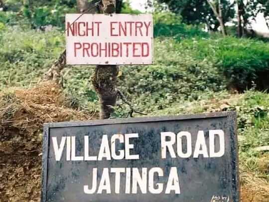 Village road Jatinga 