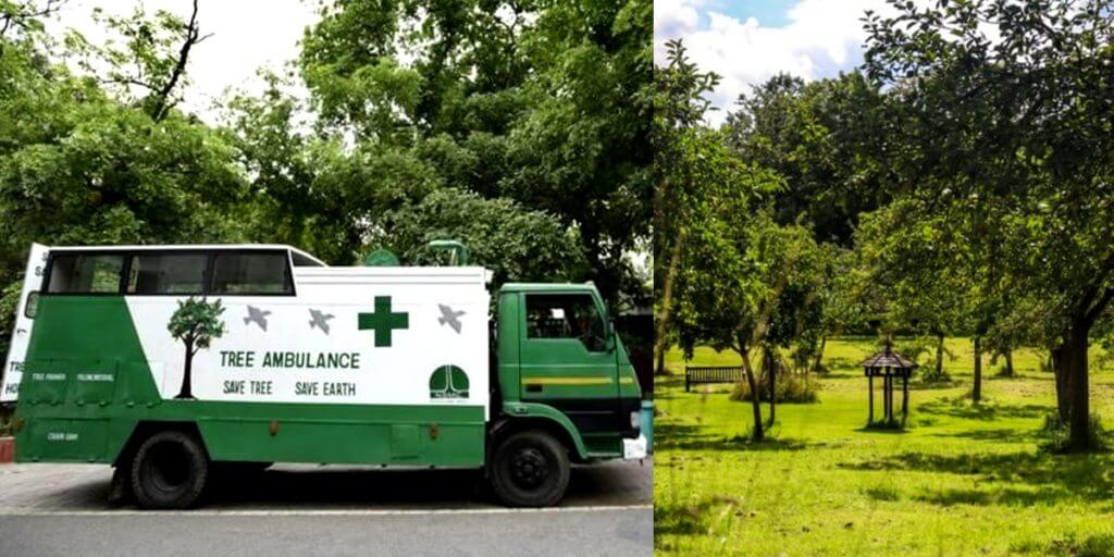  Ambulance and Hospital for tree