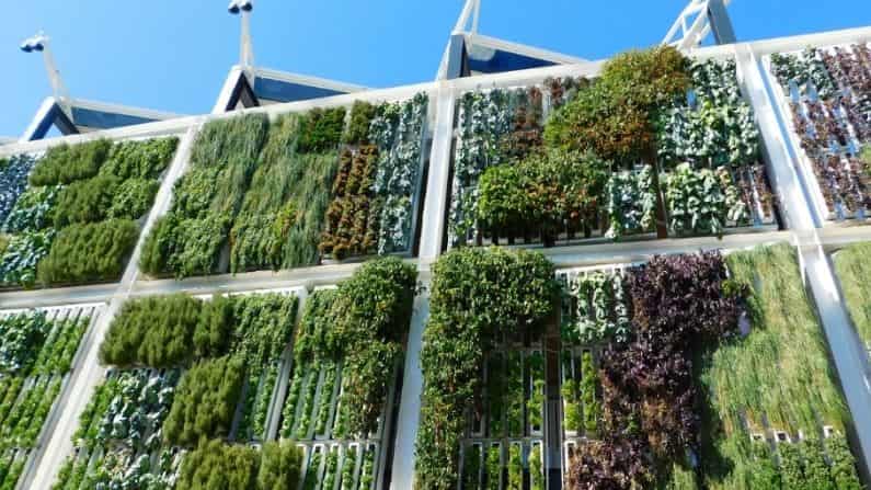 vertical farming