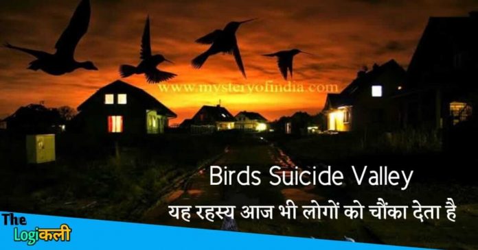 Valley known as Birds Suicide Point