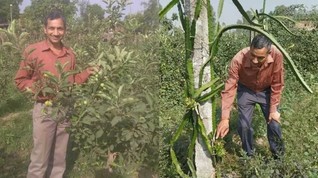 Uttar Pradesh farmer harish chandra growing chiya seeds pm modi also appreciates him