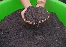 Easy steps of making fertilizer at home