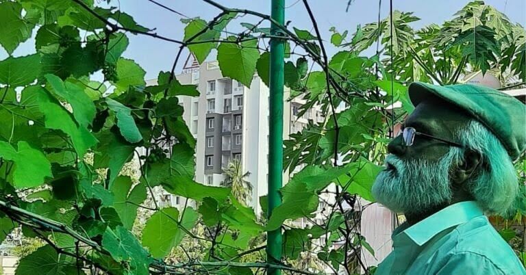 Rajmohan from Kerala is growing fruits and vegetables by terrace farming
