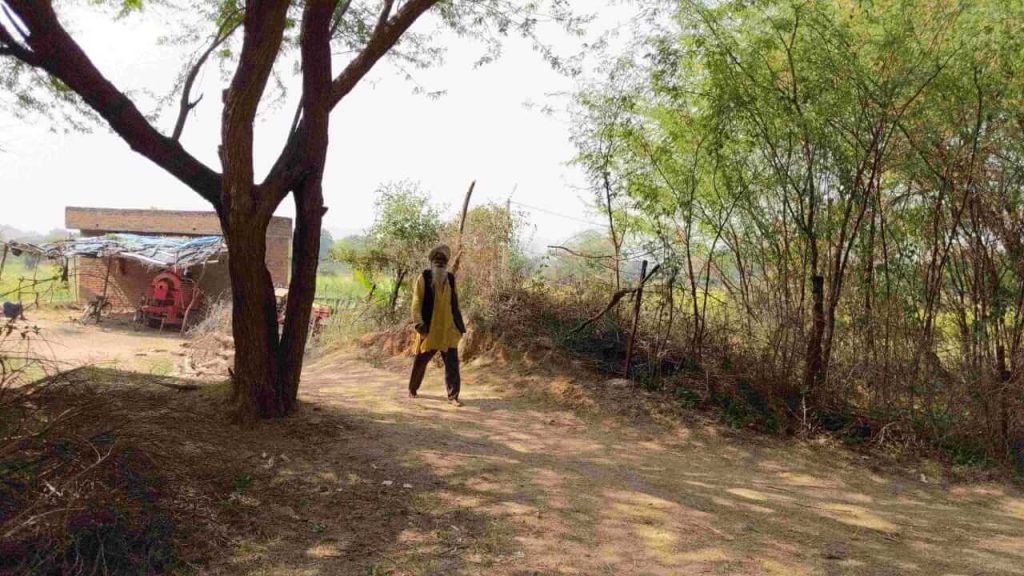 Plantation by Bhaiya Ram Yadav of chitrakut who has made a tree