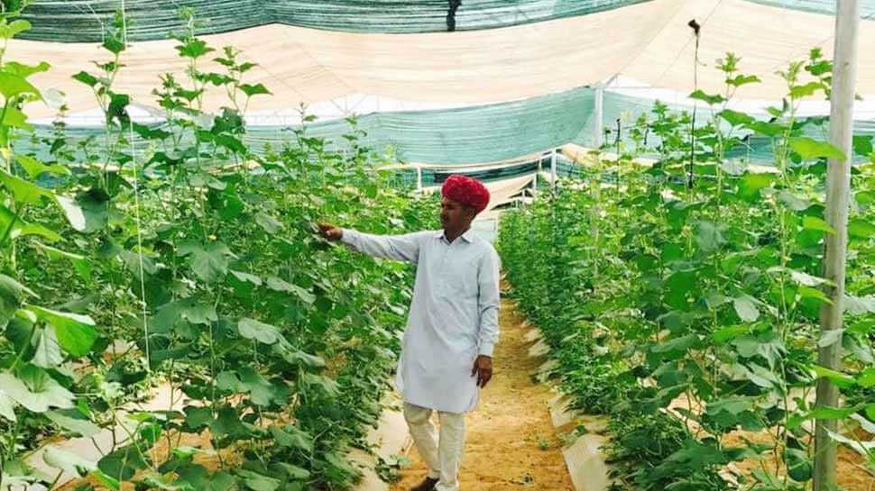 Farmers are earning crores from Poly House Farming