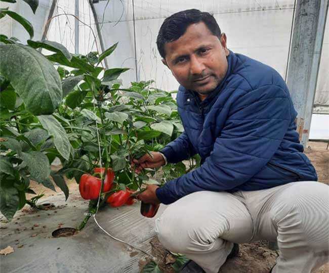 Adopted farming after leaving the job of professor