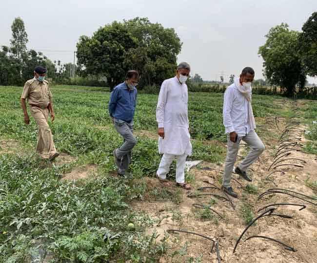 Adopted farming after leaving the job of professor