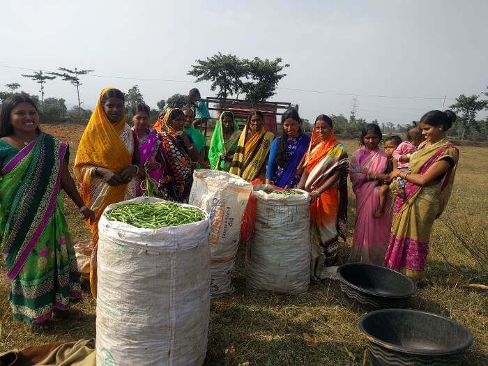Women from Jharkhand are earning huge profit from group farming