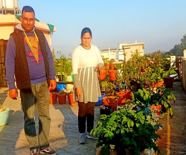 After learning Organic Farming from youtube Rajni is growing Organic vegetables on the roof