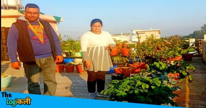 After learning Organic Farming from youtube Rajni is growing Organic vegetables on the roof