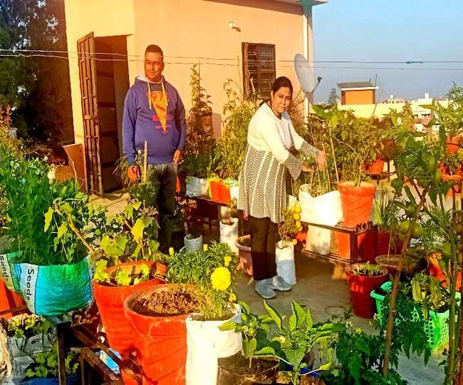 After learning Organic Farming from youtube Rajni is growing Organic vegetables on the roof