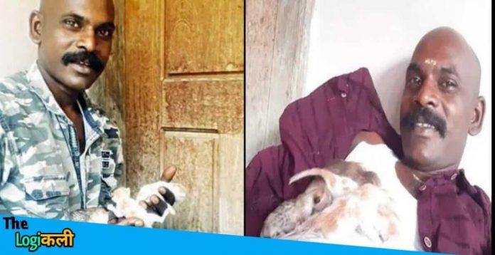 Kerala Labourer Rescues 4 Kittens By Performing Surgery On The Dead Mother Cat