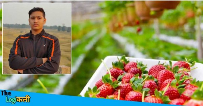 Eklavya kaushik strawberry farming