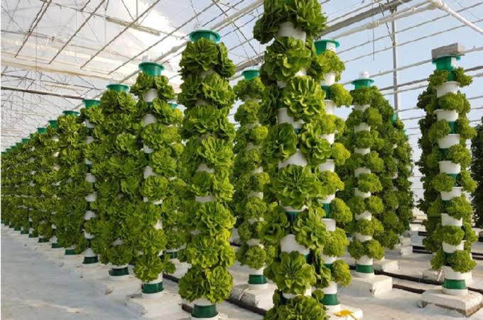 Vertical farming