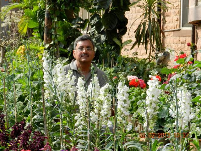 Rabindra Kabra flower farming