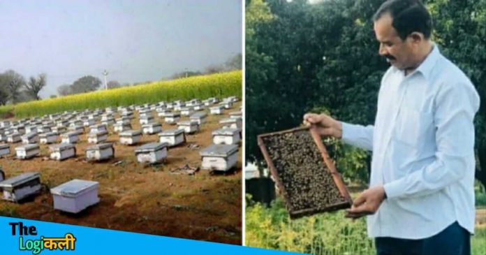 Subhash kamboj bee farming