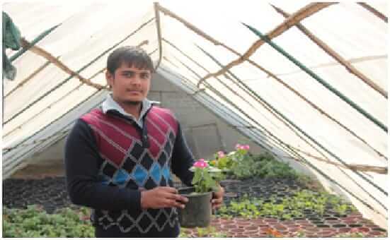 Vipin yadav roof farming