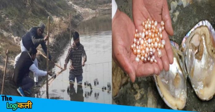 After leaving MNC job this boy is earning lakhs through Pearl Farming in Bihar