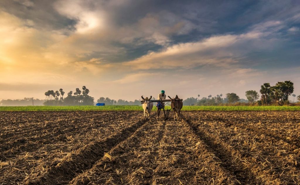 Sudhanshu Kumar from Bihar is growing crops by the use of scientific techniques