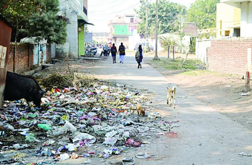 Darbhanga youths are making people aware about cleanliness and doing Environment