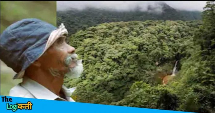 By immense labour this man converts infertile land into forest