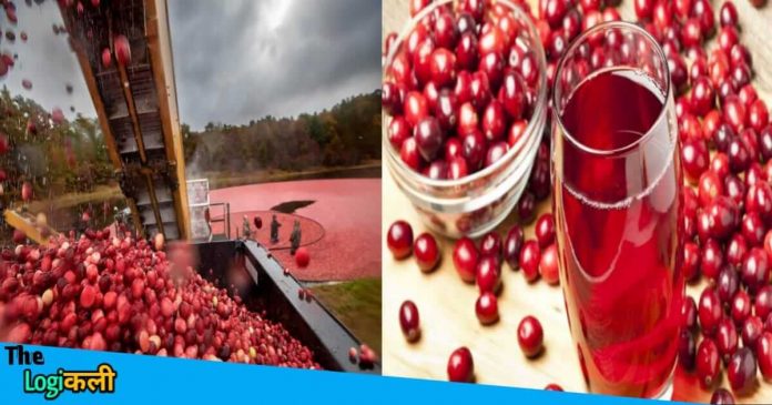 Learn about Craneberry Farming