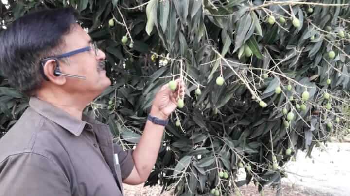 Farmer earning lakhs through Micro Sprinkler & Percolation System