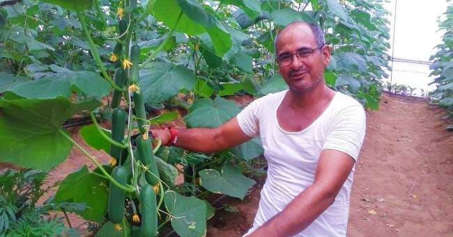 After adopting Israel technology in Polyhouse farming farming earning crores