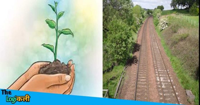 Bihar Bhagalpur plantation being done along railway line for environmental protection