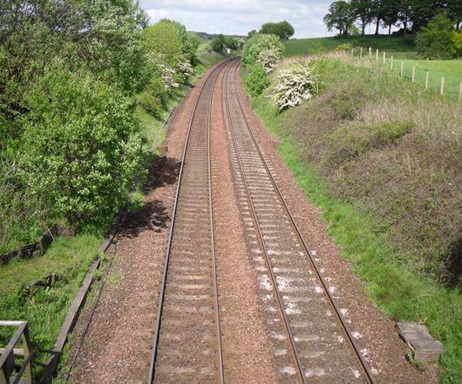 Bihar Bhagalpur plantation being done along railway line for environmental protection