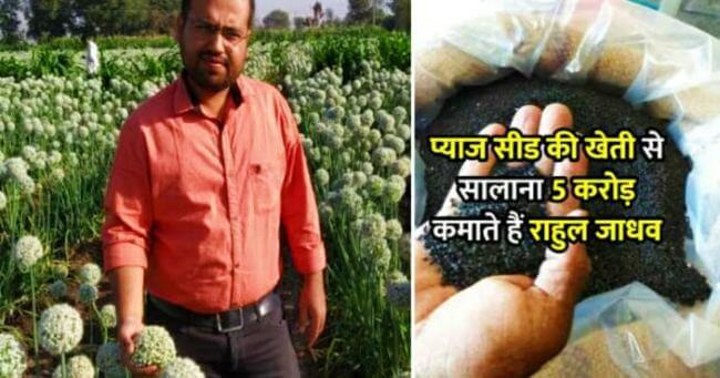 After leaving banking job Rahul Jadhav is earning crores with Onion Seed Cultivation