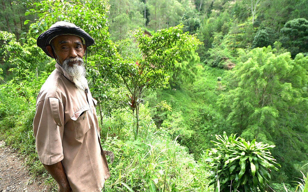 By immense labour this man converts infertile land into forest