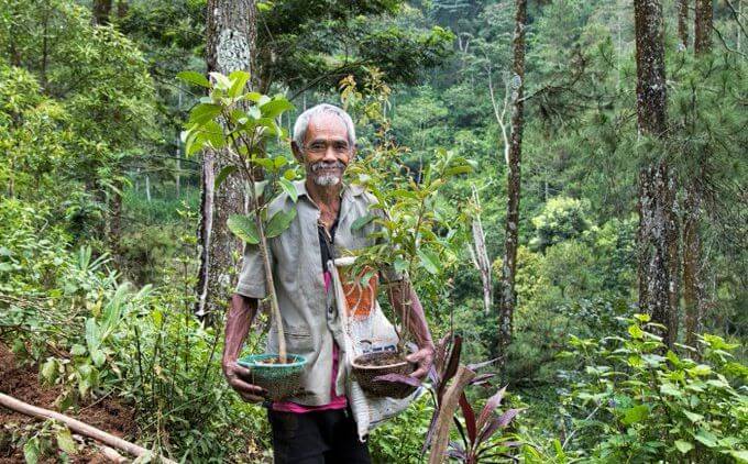 By immense labour this man converts infertile land into forest