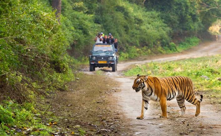 Jim Corbett National Park