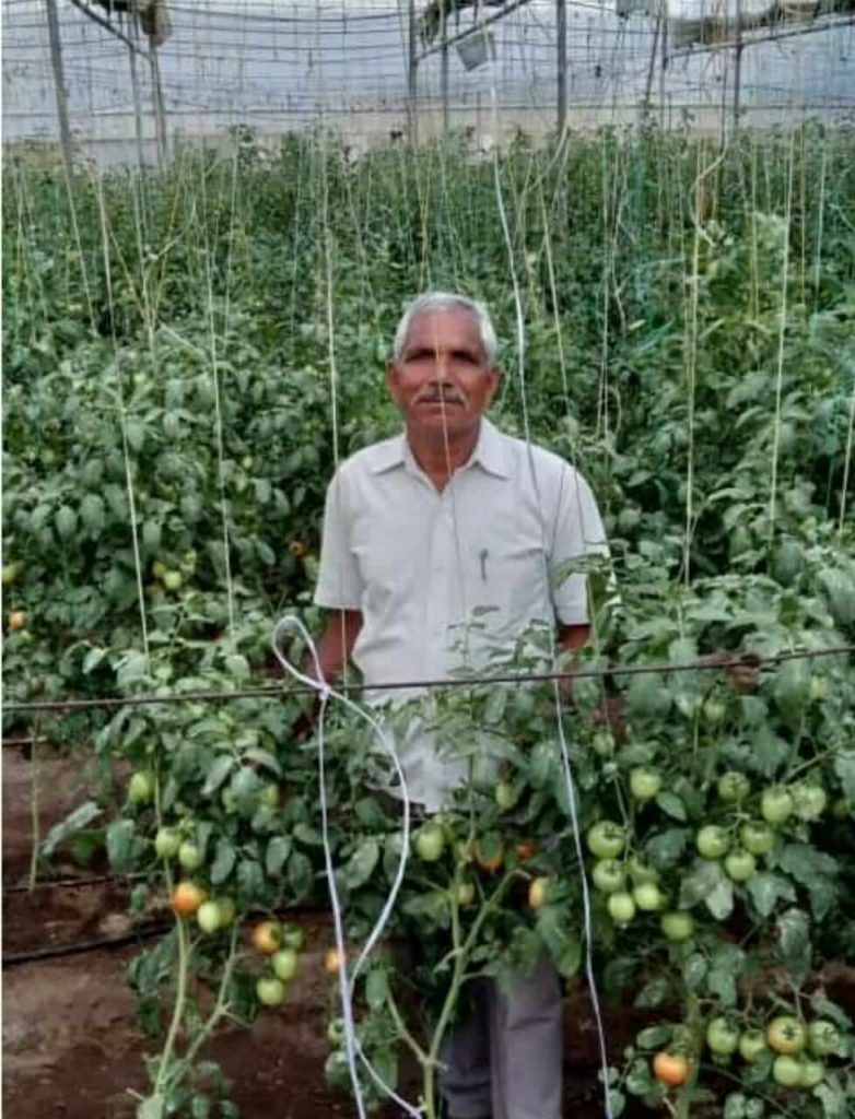 Moti Singh Rawat chili farming