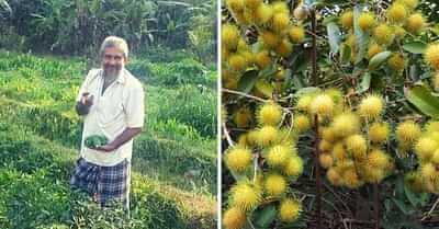 Fruits farming by PM iliyas