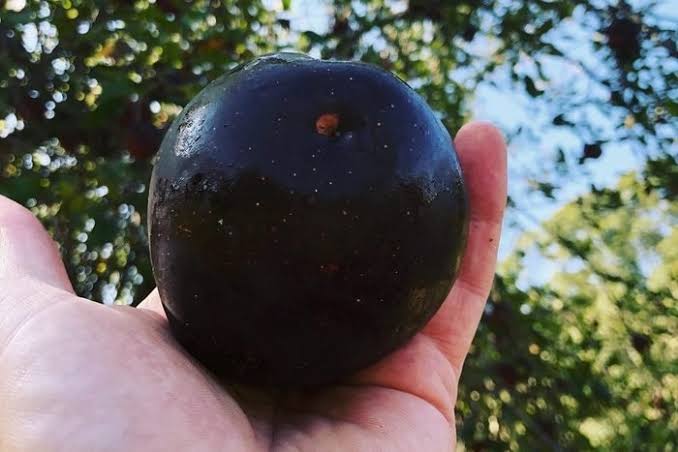 Black diamond Apple