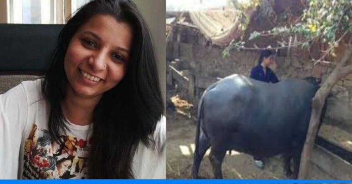 Ankita kumawat starts dairy farm
