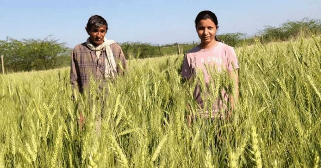 Ankita kumawat starts dairy farm