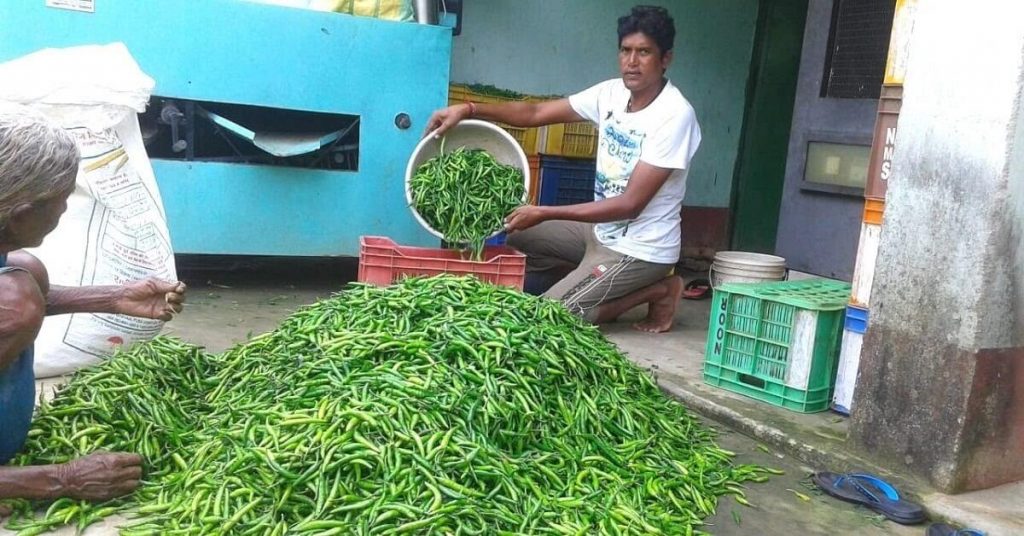 Farming Krishn Nag 