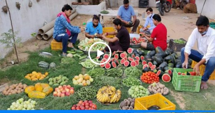 Rajsthan villagers prepared 56 types of fruit for animals and cattles