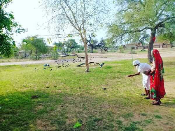 100 years old Hazariram and his wife runs rescue centre for animals