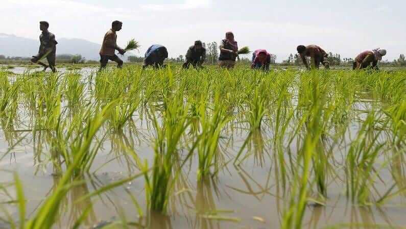 Unique ID of farmer will enhance digital India